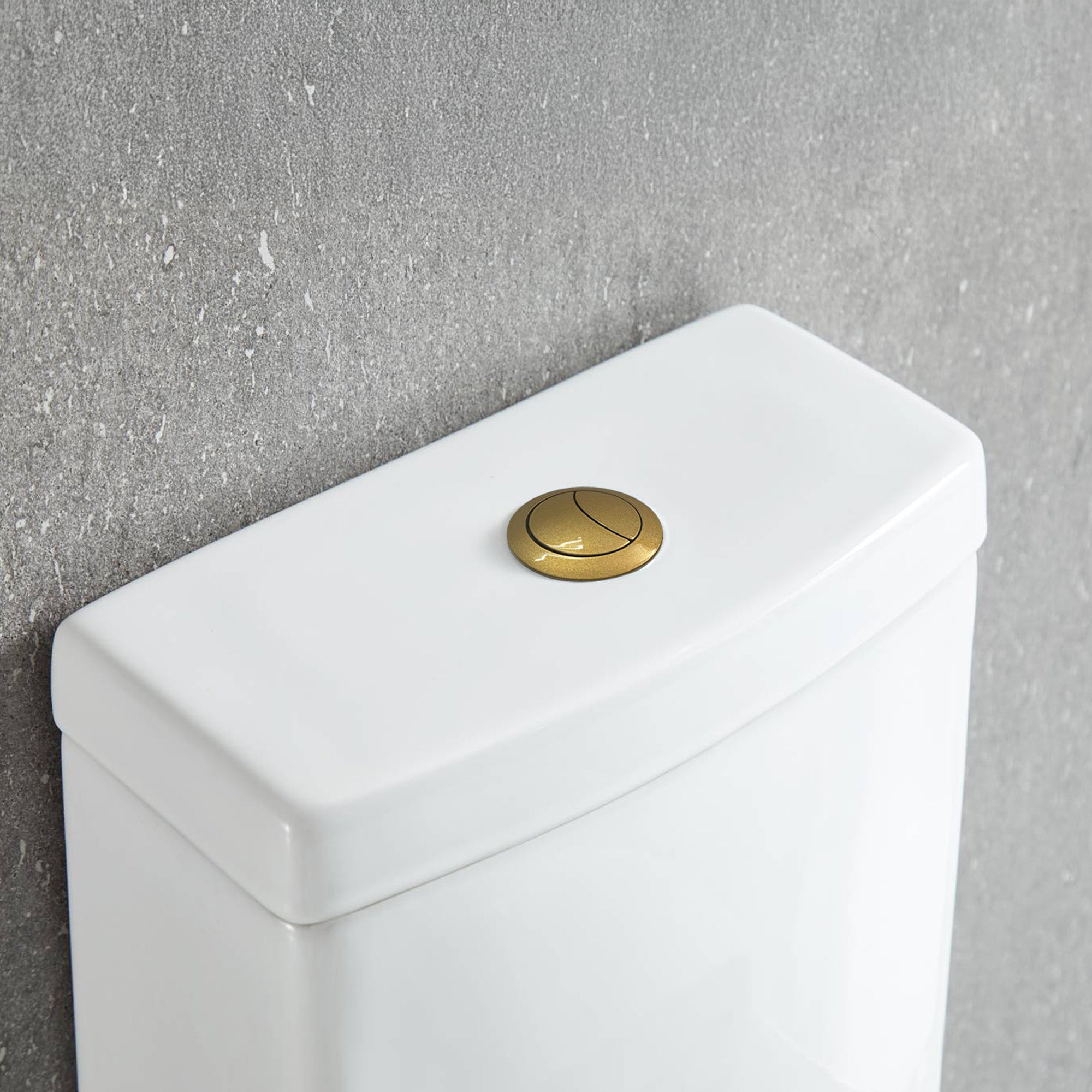 One Piece Toilet T9 02 - Shop at Home Craft Studio - 8