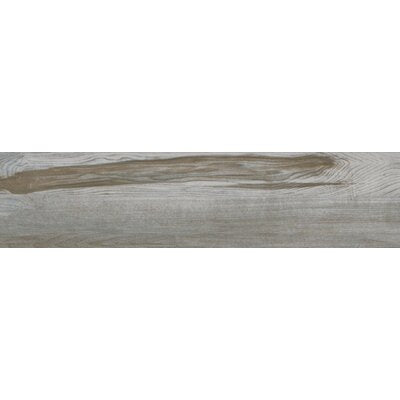 Carolina Timber Ii White 6X24