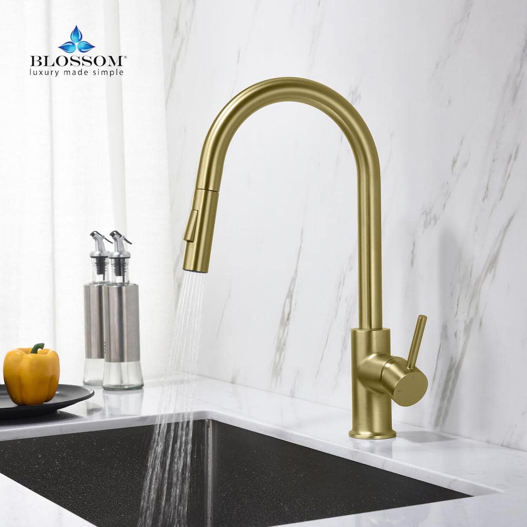 Single Handle Pull Down Kitchen Faucet – F01 206