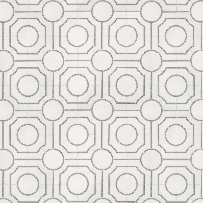 BIANCO DOLOMITE REGENCY POLISHED Wall Tile, Floor or Wall Tile - Shop at Home Craft Studio - 2