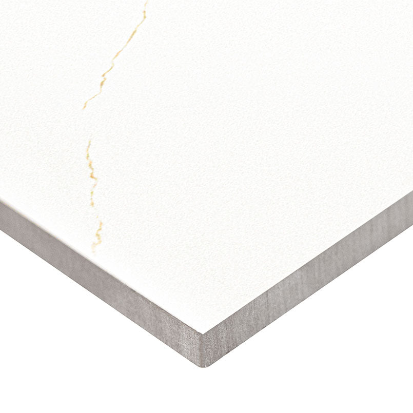 MIRAGGIO GOLD 12X24 MATTE Floor or Wall Tile - Shop at Home Craft Studio - 3