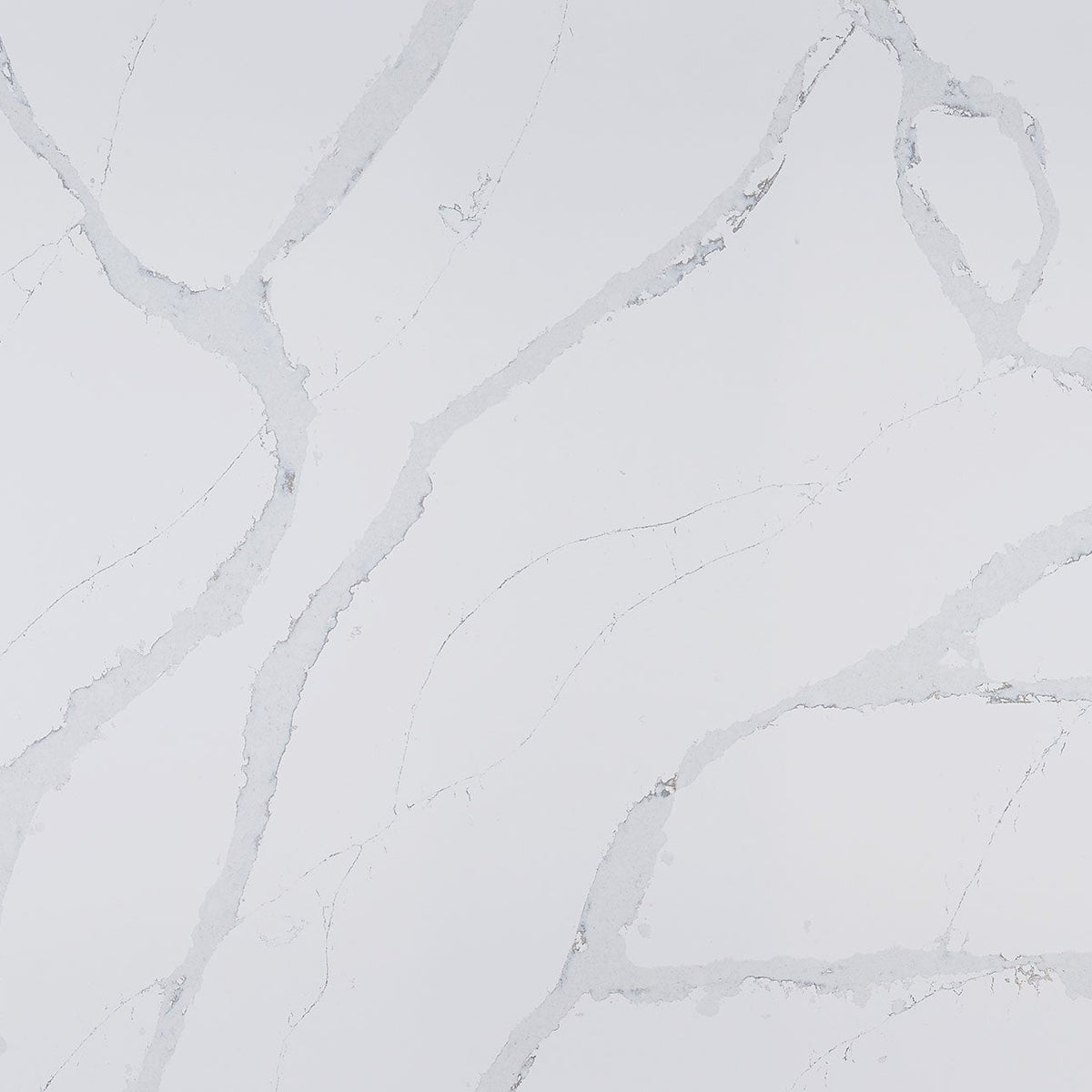 MSI Calacatta Azai Quartz Slab Slabs - Shop at Home Craft Studio - 1