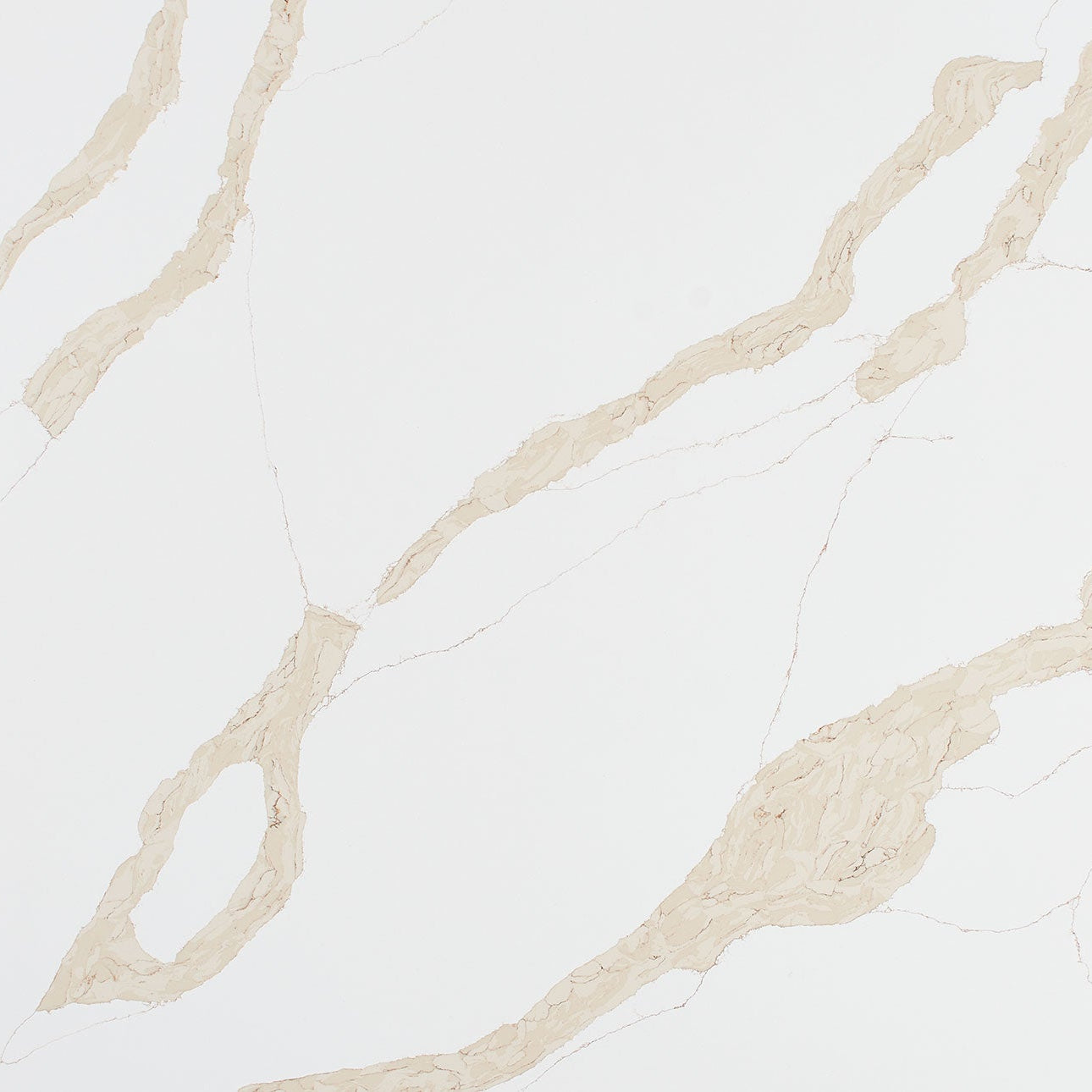 Calacatta Leon Gold Countertops - Shop at Home Craft Studio - 1