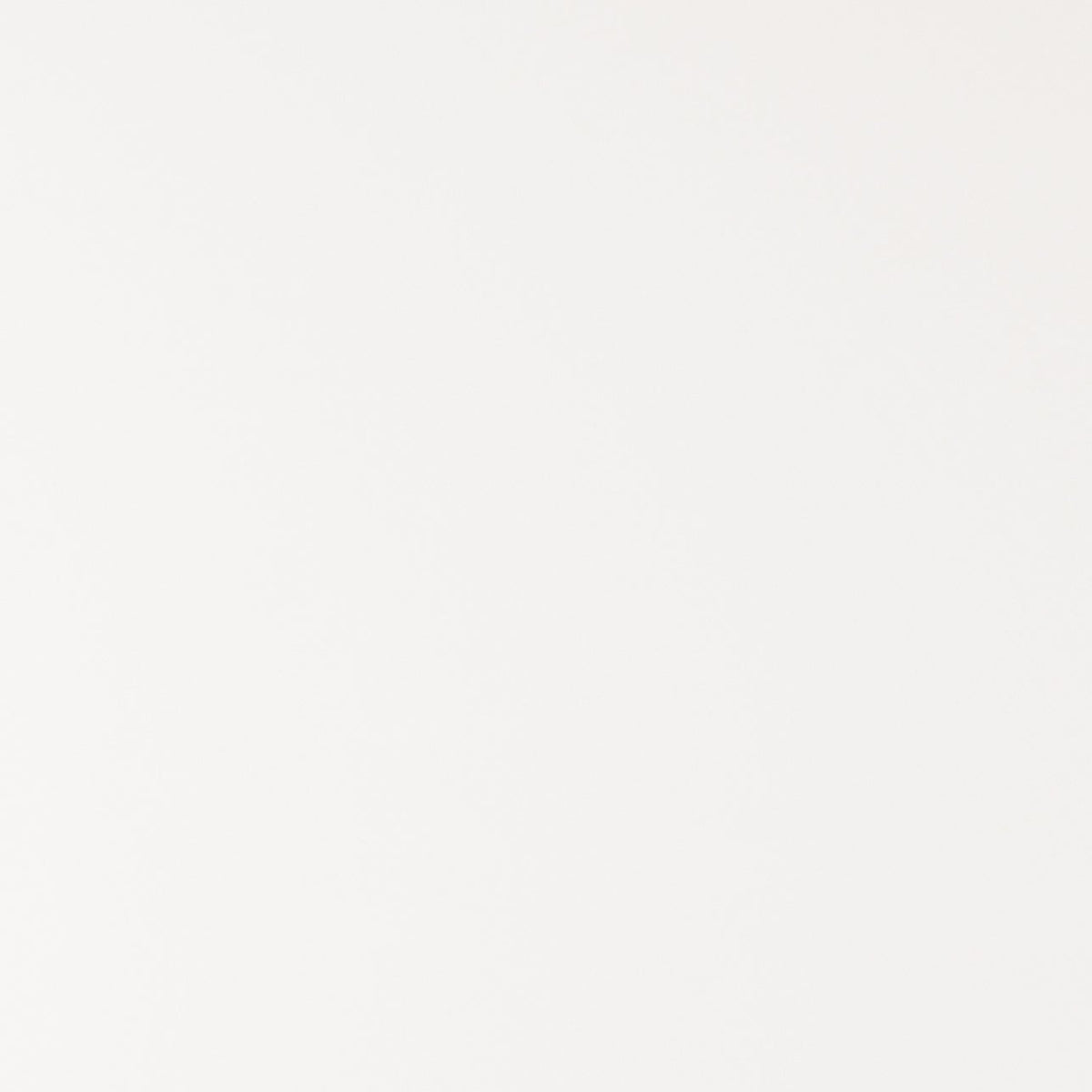 MSI Arctic White Quartz Countertop Countertops - Shop at Home Craft Studio - 1