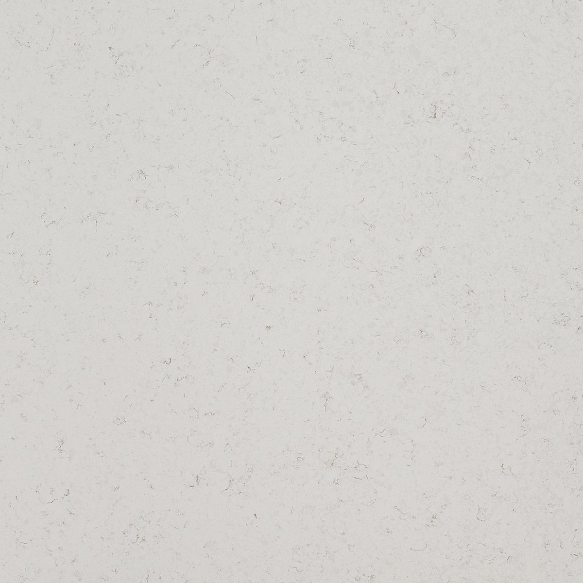 MSI Blanca Statuarietto Quartz Countertop Countertops - Shop at Home Craft Studio - 1