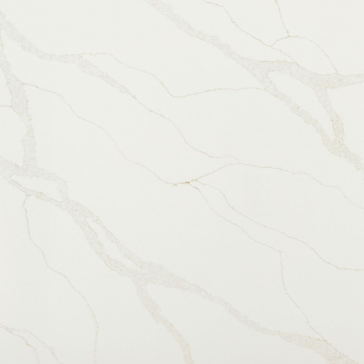 MSI Calacatta Elysio Quartz Countertop Countertops - Shop at Home Craft Studio - 1