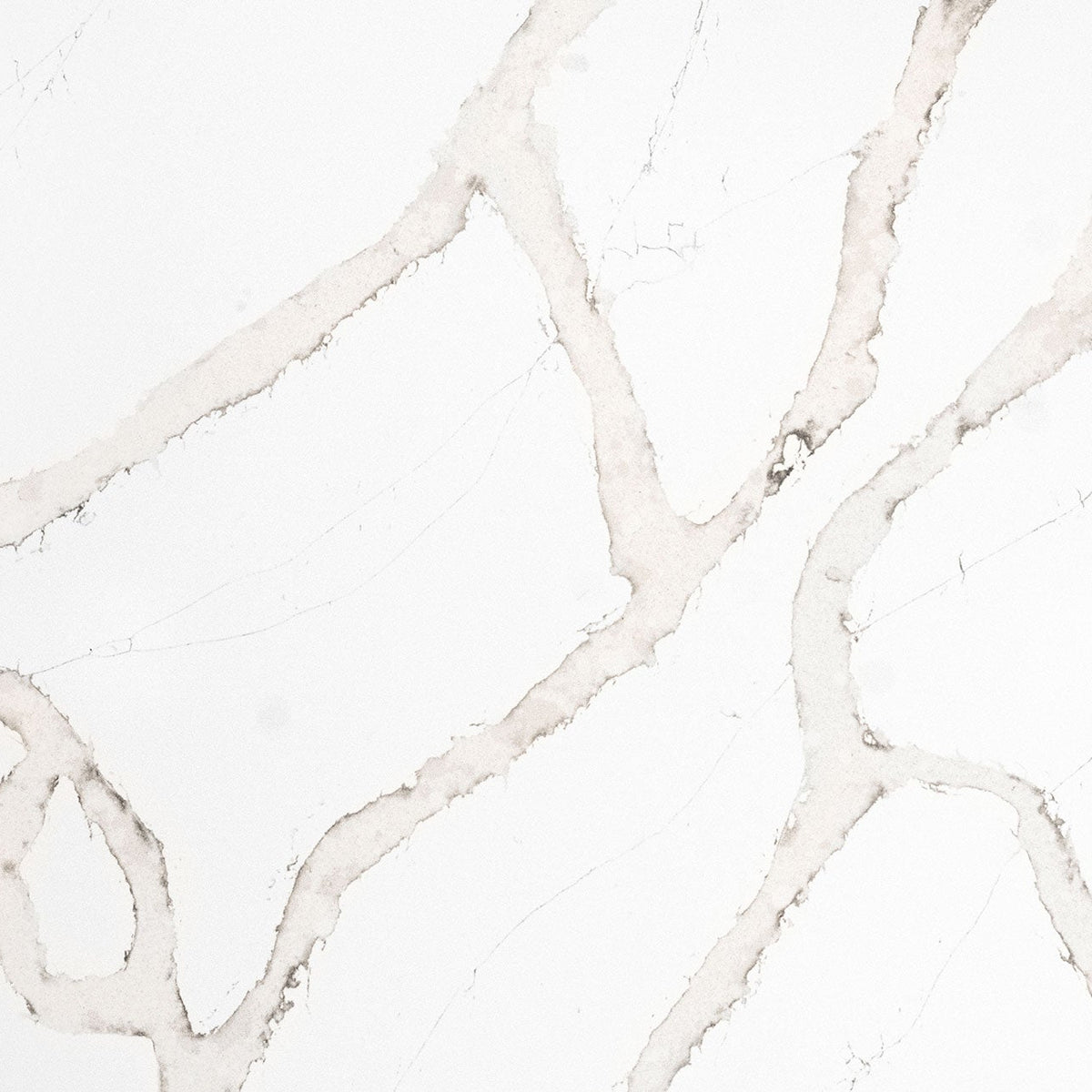 MSI Calacatta Goa Quartz Countertop Countertops - Shop at Home Craft Studio - 1