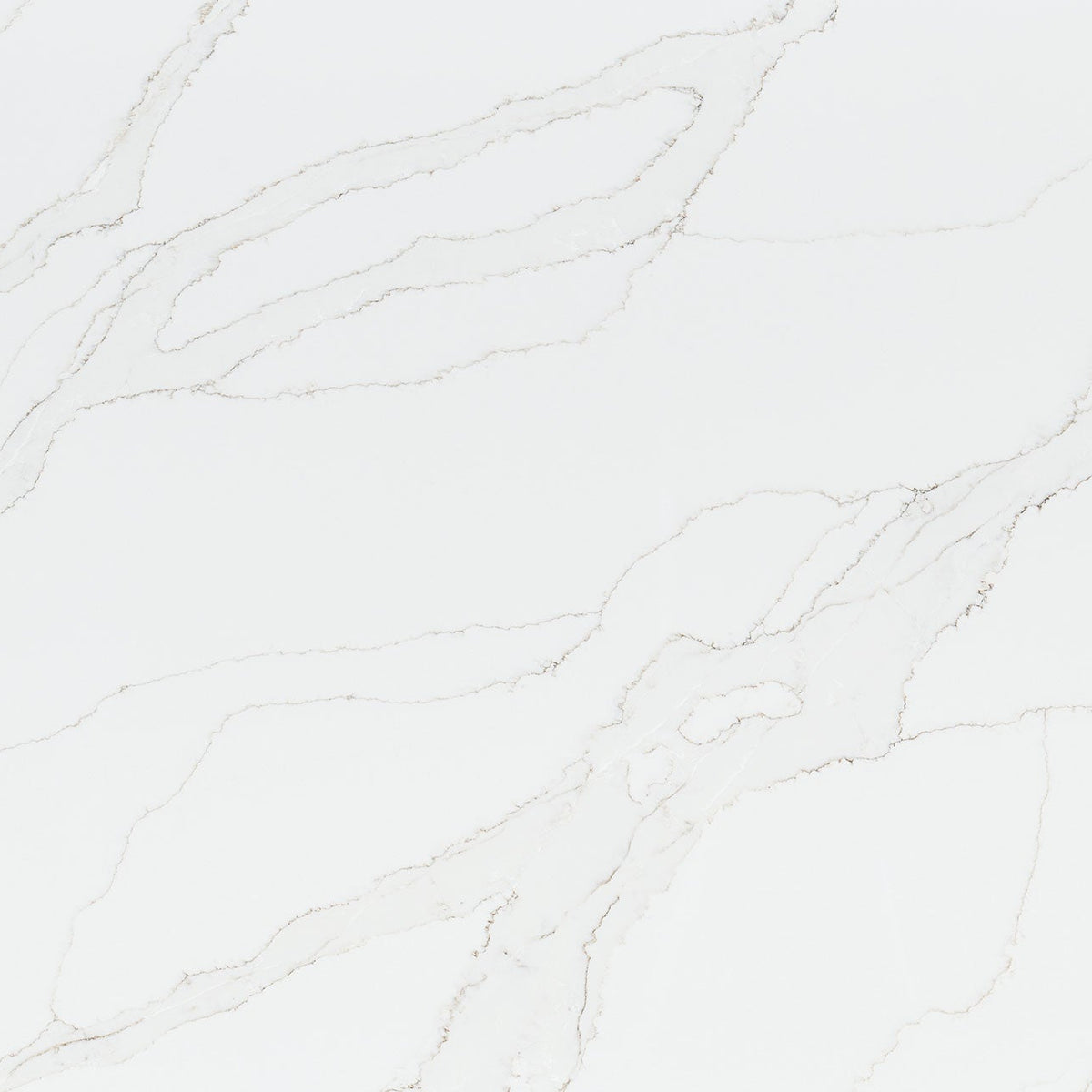 MSI Calacatta Izaro Quartz Countertop Countertops - Shop at Home Craft Studio - 1