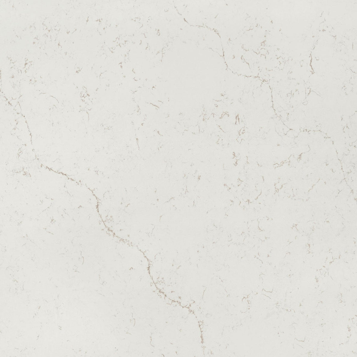 MSI Calacatta Lavasa Quartz Countertop Countertops - Shop at Home Craft Studio - 1