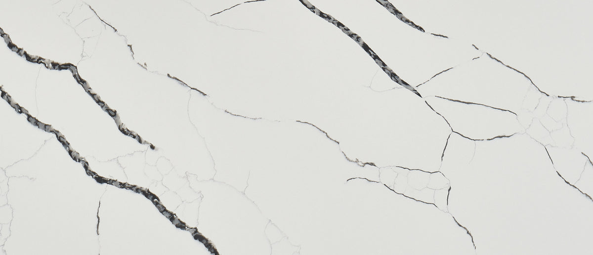 MSI Calacatta Laza Night Quartz Countertop Countertops - Shop at Home Craft Studio - 2