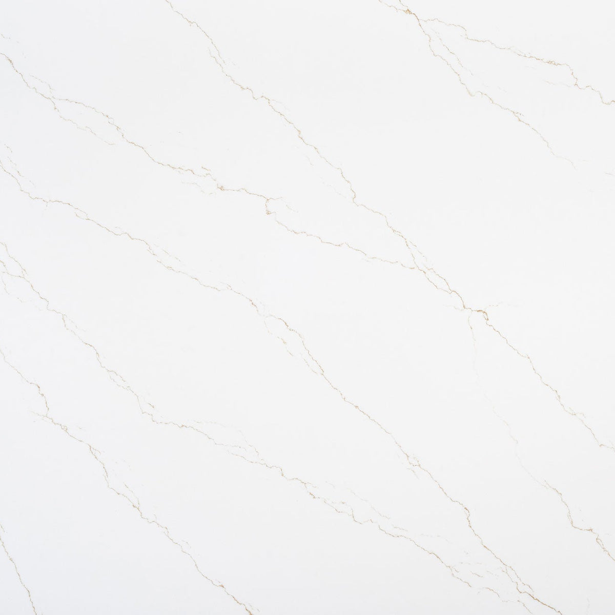 MSI Calacatta Miraggio Gold Quartz Countertop Countertops - Shop at Home Craft Studio - 1