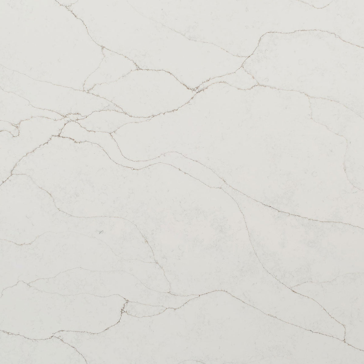 MSI Calacatta Prado Quartz Countertop Countertops - Shop at Home Craft Studio - 1