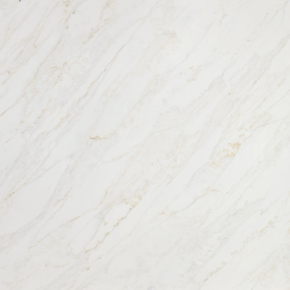 MSI Calacatta Premata Quartz Countertop Countertops - Shop at Home Craft Studio - 1