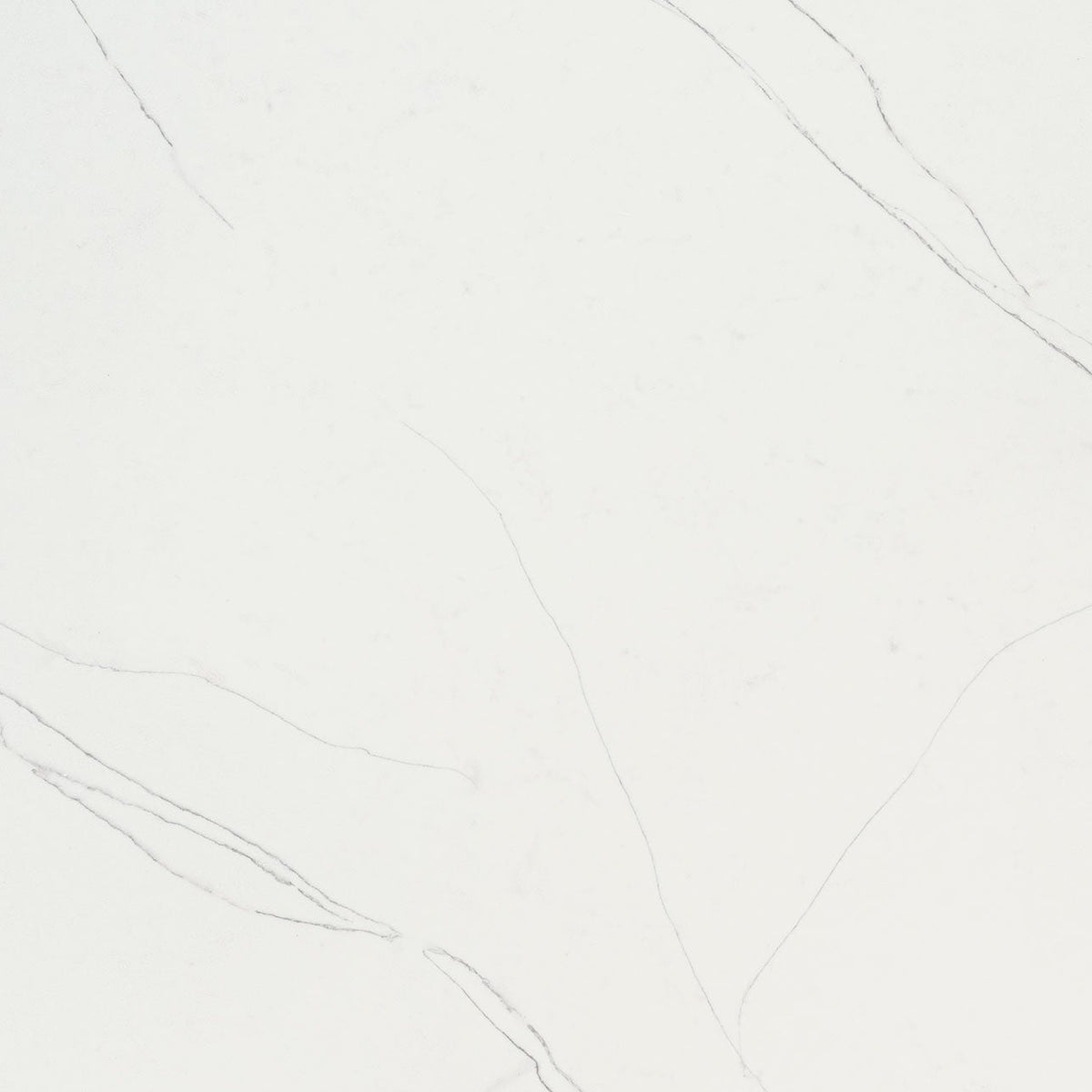 MSI Calacatta Trevi Quartz Countertop Countertops - Shop at Home Craft Studio - 1
