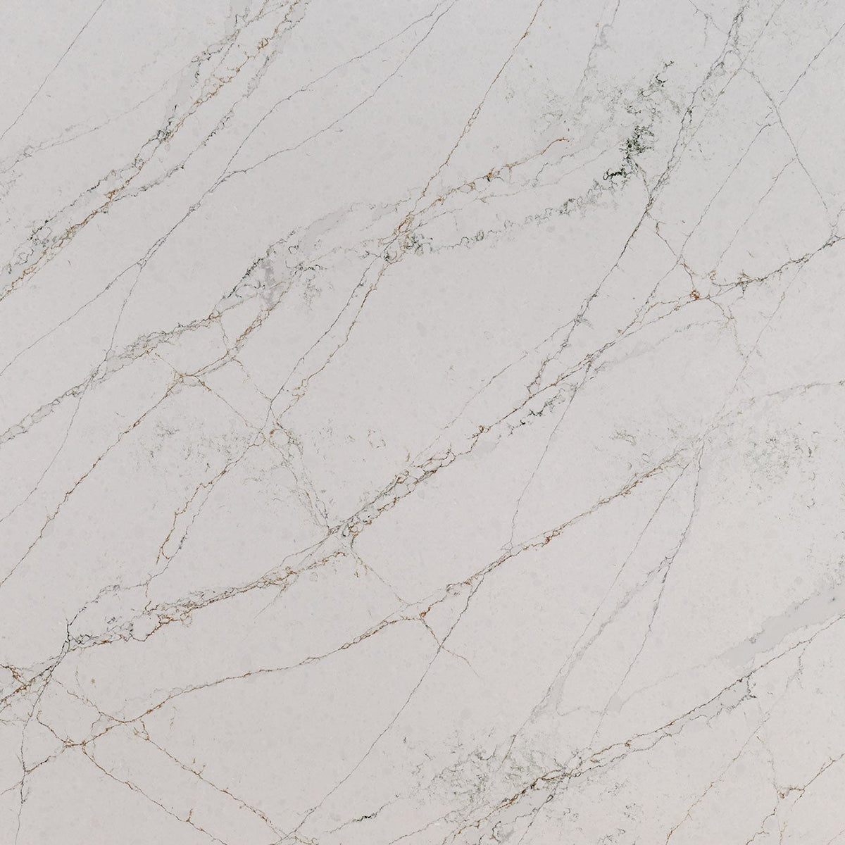 MSI Calacatta Viraldi Quartz Countertop Countertops - Shop at Home Craft Studio - 1