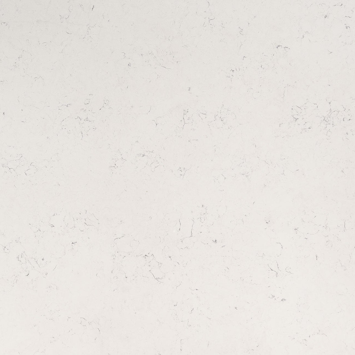 MSI Carrara Marmi Quartz Countertop Countertops - Shop at Home Craft Studio - 1