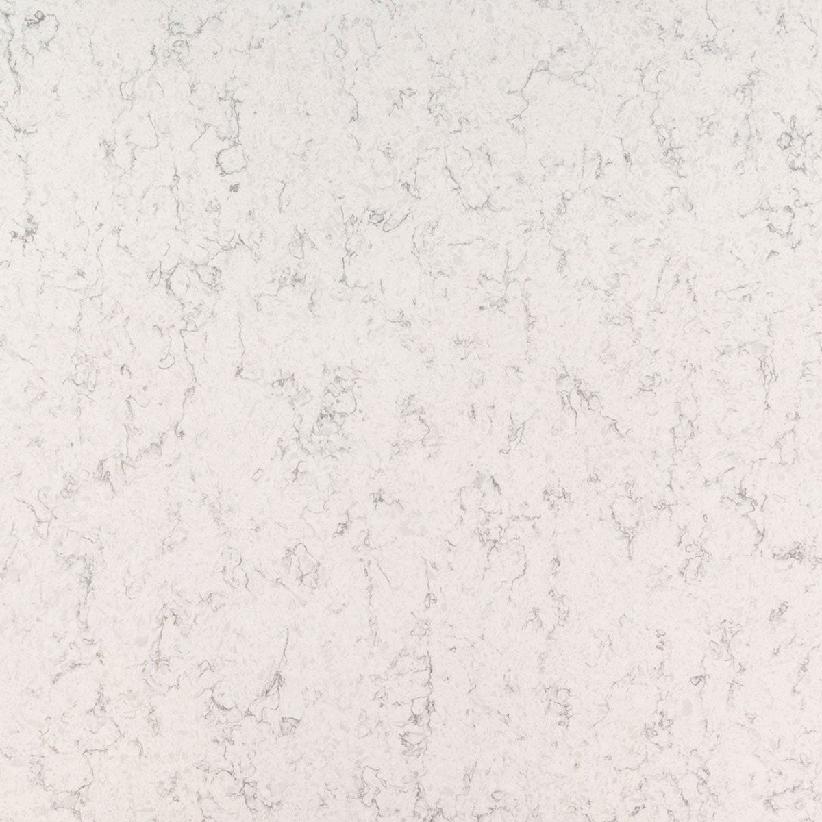 MSI Mara Blanca Quartz Countertop Countertops - Shop at Home Craft Studio - 1