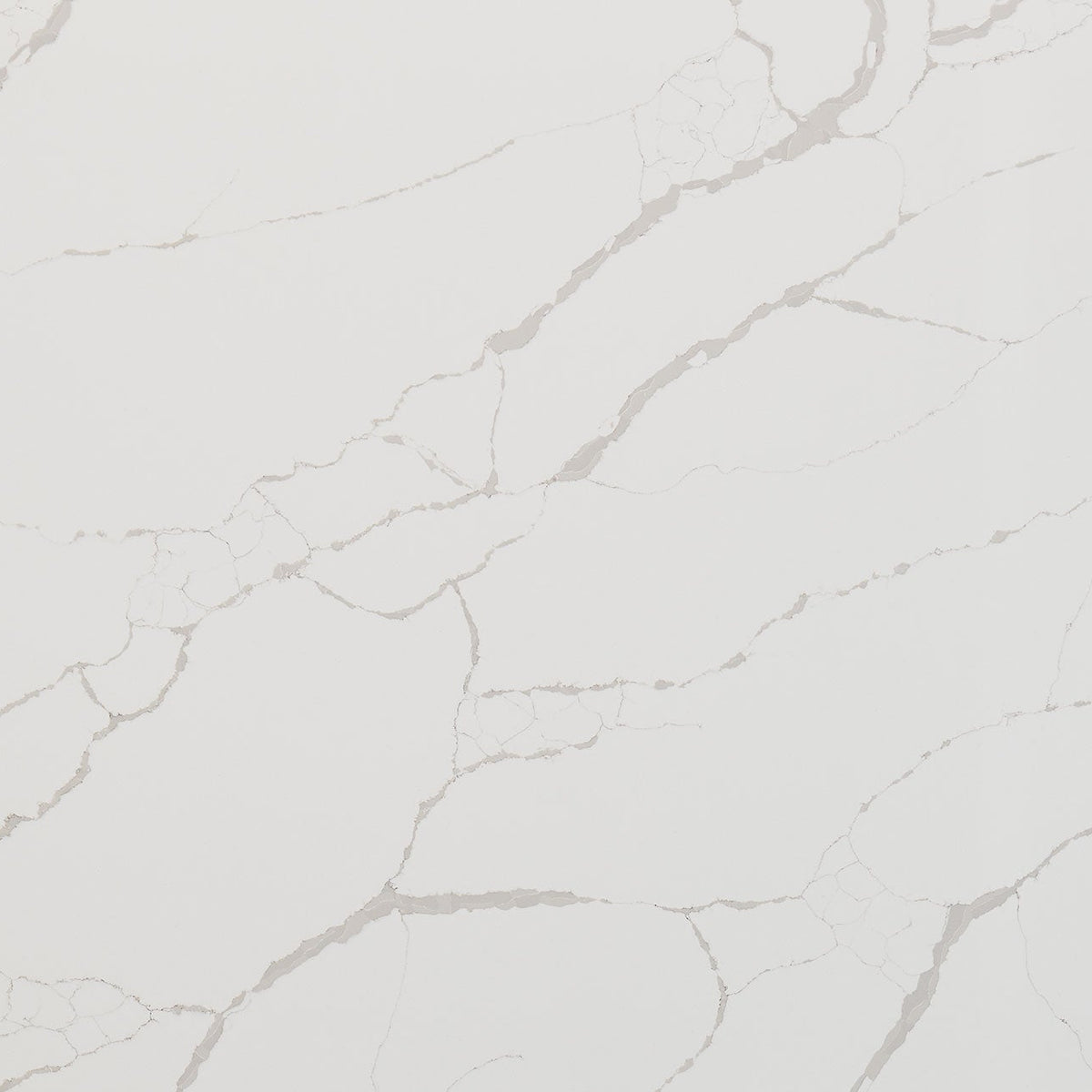 MSI New Calacatta Laza Quartz Countertop Countertops - Shop at Home Craft Studio - 1