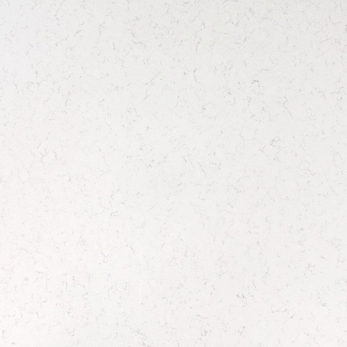 MSI New Carrara Marmi Quartz Countertop Countertops - Shop at Home Craft Studio - 1