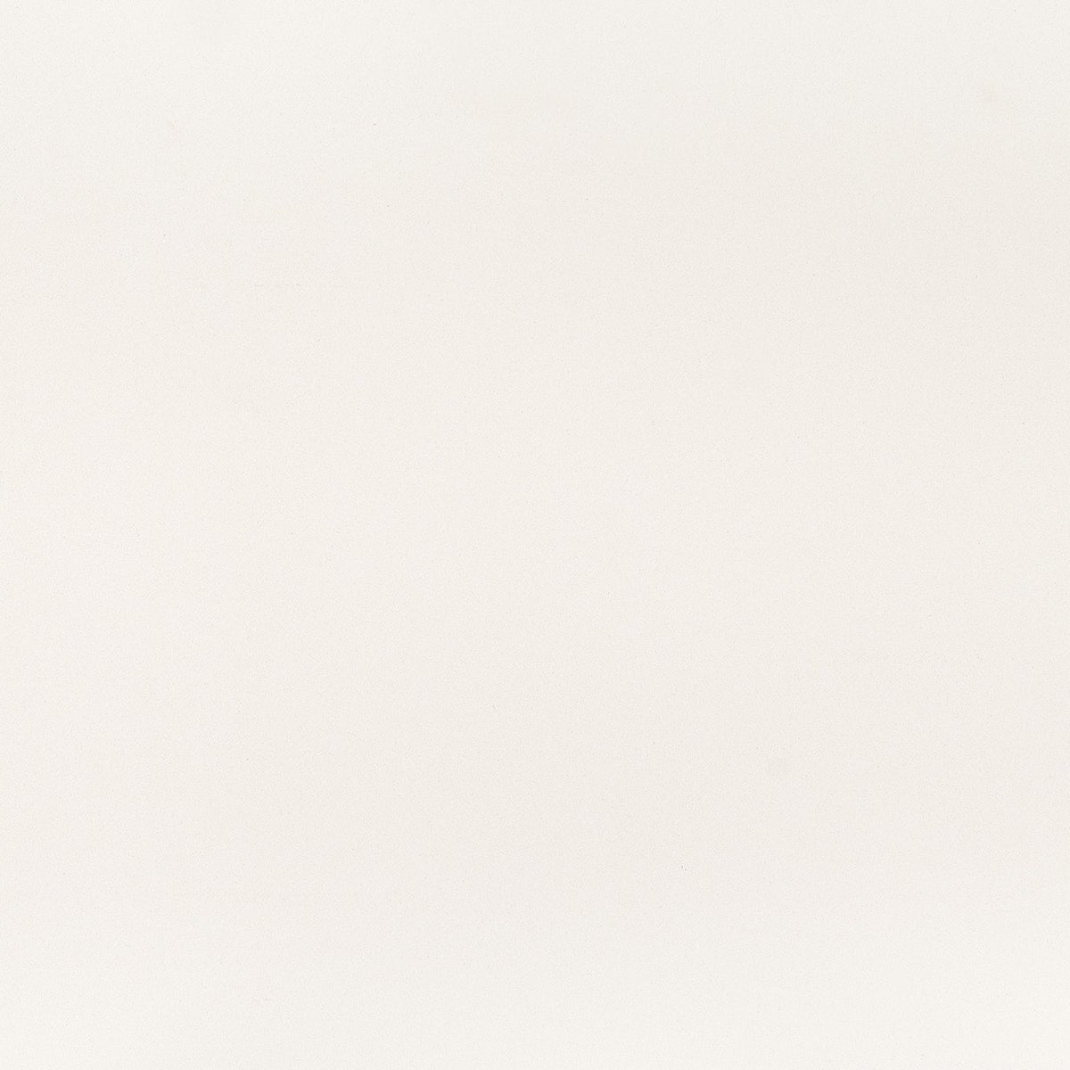 MSI Snow White Quartz Countertop Countertops - Shop at Home Craft Studio - 1