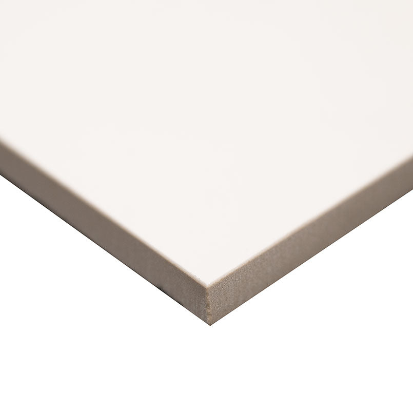 WHITE AND BLACK 2X2 MATTE Floor or Wall Tile - Shop at Home Craft Studio - 2