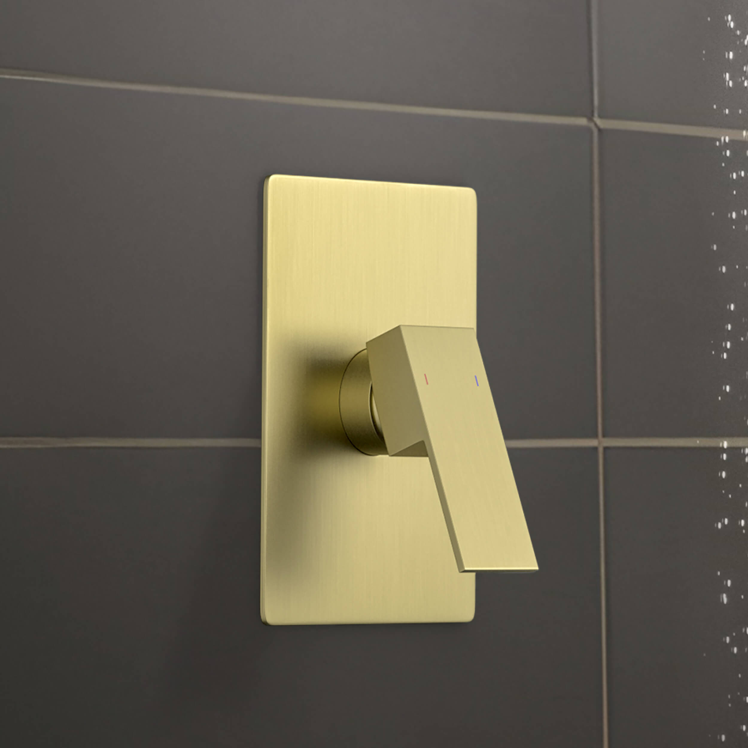 Quadro Single Function Rough-in Valve Trim Plate - SVT2-1