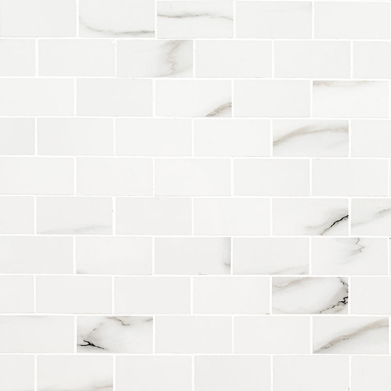 Aria Bianco Subway Tile 2x4