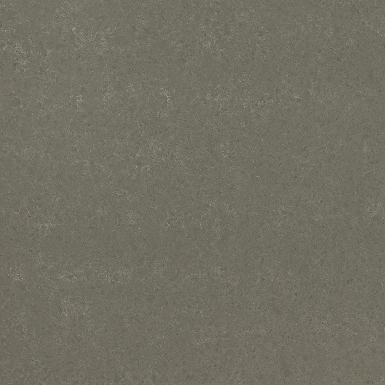 Babylon Gray - Concrete Finish
