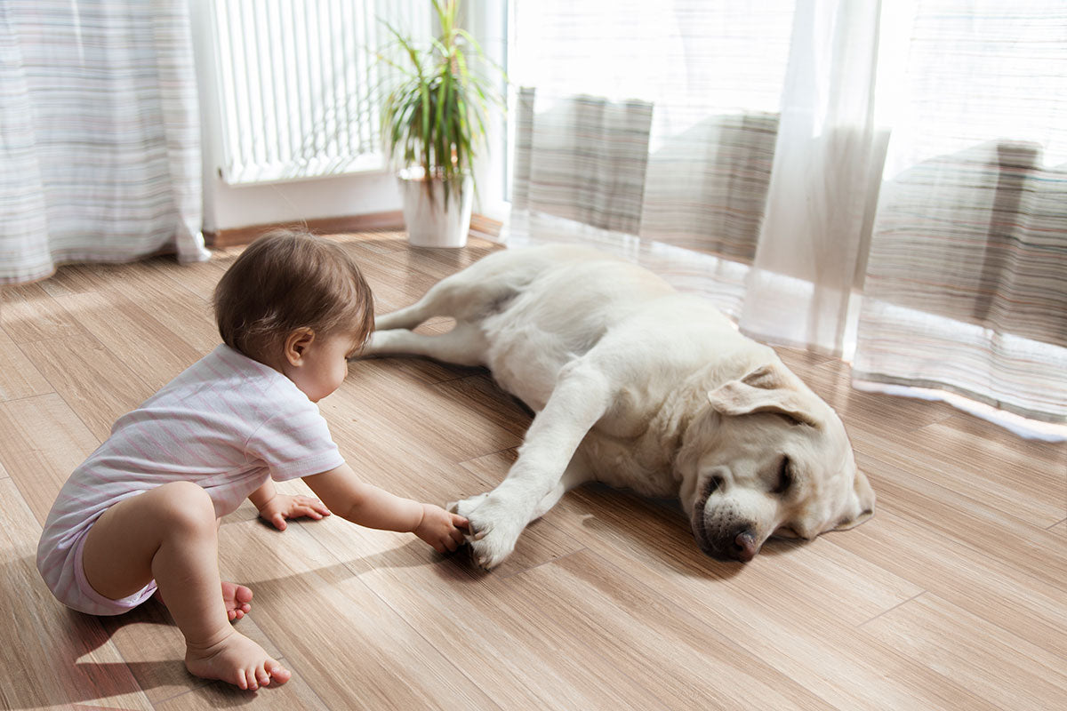 Havenwood Beige Porcelain Tile