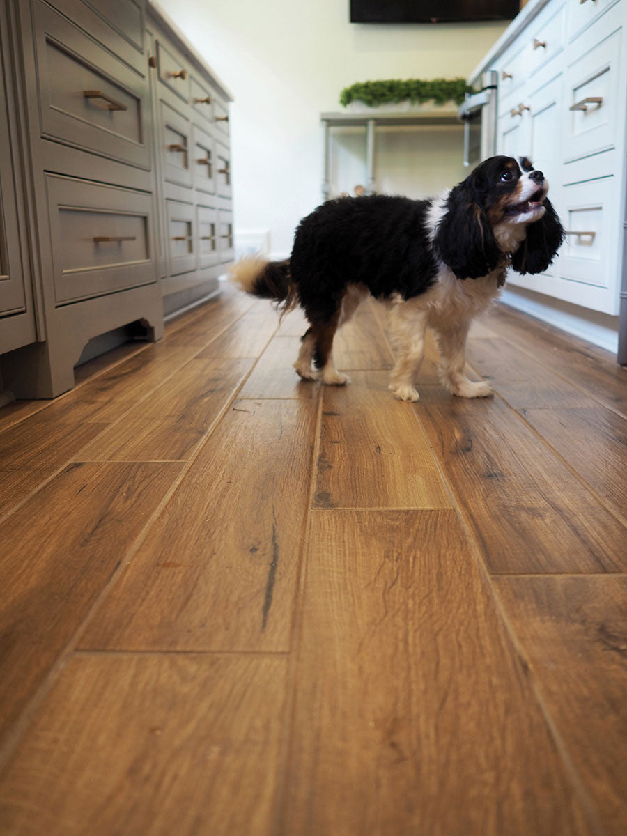 Palmetto Cognac Porcelain Tile