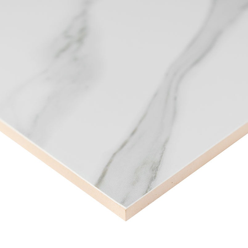 Dymo Statuary 12x24 Glossy