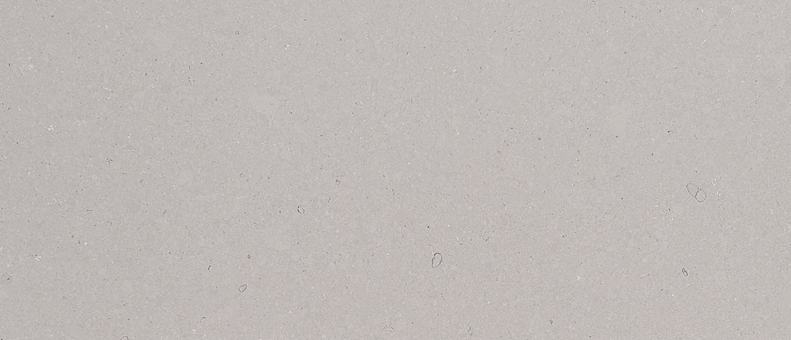 Fossil Gray - Matte Finish