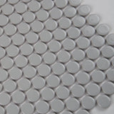 Gray Glossy Penny Round Mosaic