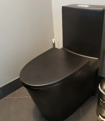 K-0382 One-Piece 28"h Dual Flush Toilet (Matte Black) - Shop at Home Craft Studio - 4