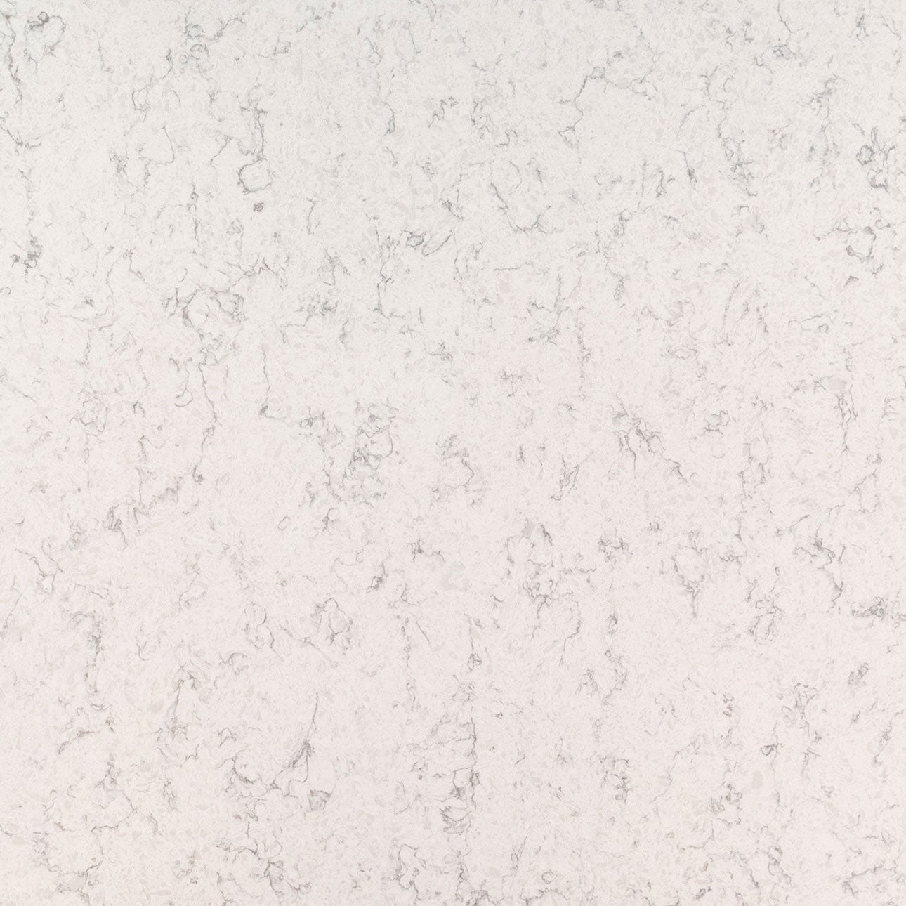 Mara Blanca