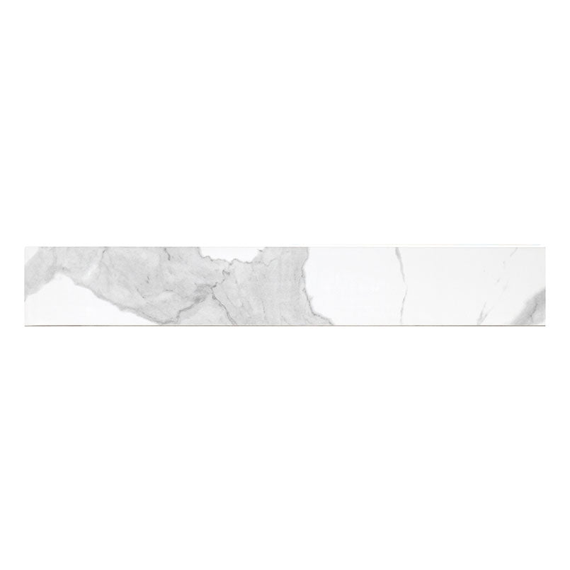EDEN STATUARY 4X24 BULLNOSE MATTE