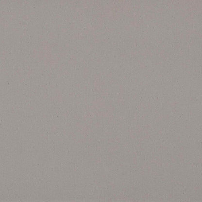 4003 Sleek Concrete: fine-grained grey with a hint of white for an industrial ambiance.