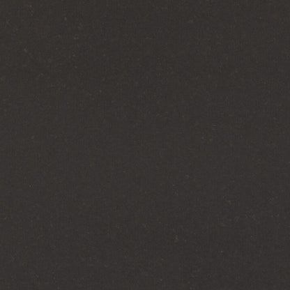 4120 Raven surface showcasing a deep smoky-slate grey with a subtle two-toned finish for dramatic appeal.