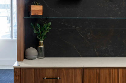 Stylish interior featuring a wooden cabinet, decorative plant, and minimalist decor against a dark wall.