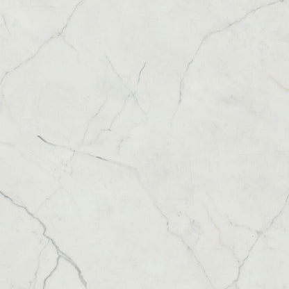 Honed pearl-white surface with dark grey veins, showcasing a dynamic and innovative design, perfect for elegant spaces.