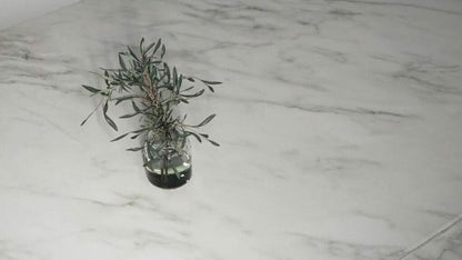 Soft ivory-white marble with grey veins and green-yellow crystalline layers, featuring a small plant in a glass vase.