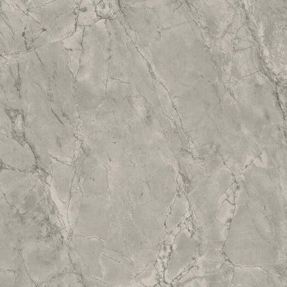 Over-sized marbled grey surface with organic veining and contrasting white highlights in an ultra-rough finish.