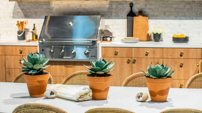 Modern kitchen with succulents on a table, featuring a stainless steel grill and wooden cabinetry.