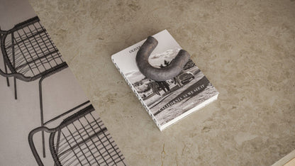 Milky mottled sage stone surface with a book and a sculptural object, showcasing elegance and texture.