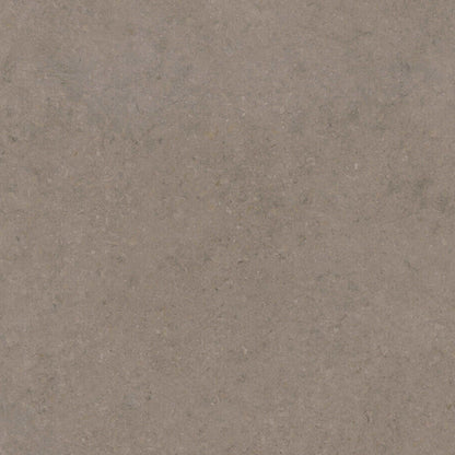 Neutral grey stone finish featuring a granular texture with speckles of moss and darker stone-washed dashes.
