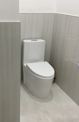K-0382  One-Piece 28" Dual Flush Toilet (12" Rough)