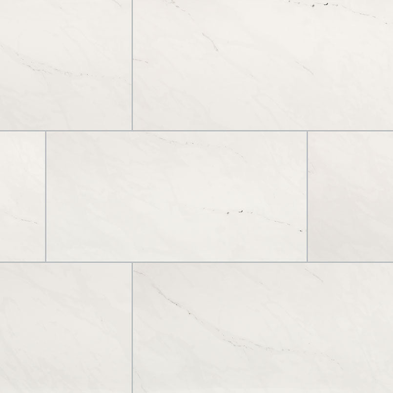 Aria Ice 24X48