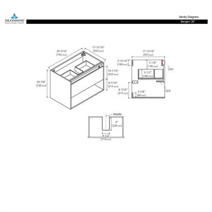 Bergen 30″ Vanity （Dual LED Illuminated）