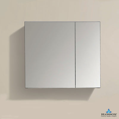 25″ Aluminum Medicine Cabinet with Mirror – MC7 2526  - Shop at Home Craft Studio - 1