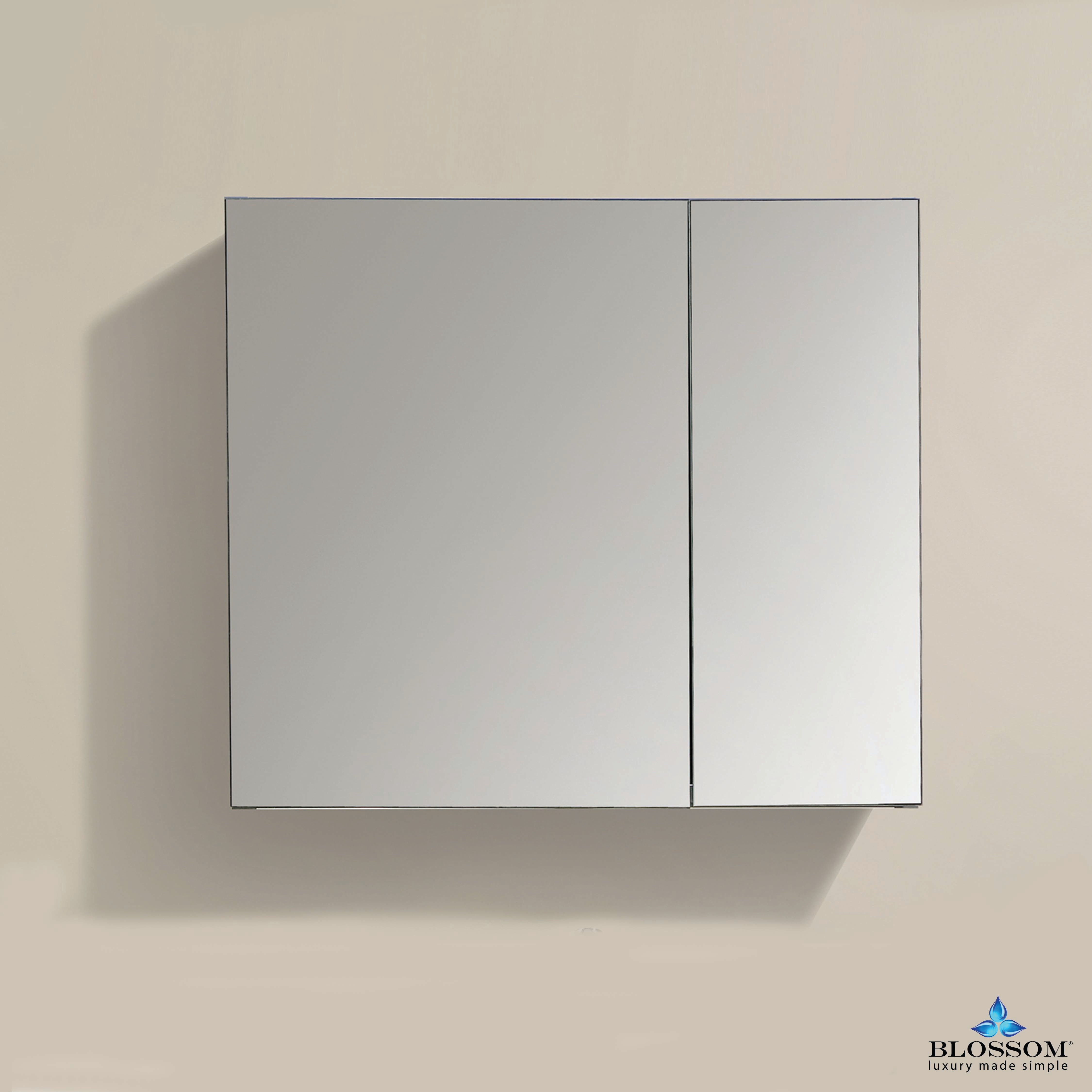 25″ Aluminum Medicine Cabinet with Mirror – MC7 2526  - Shop at Home Craft Studio - 1